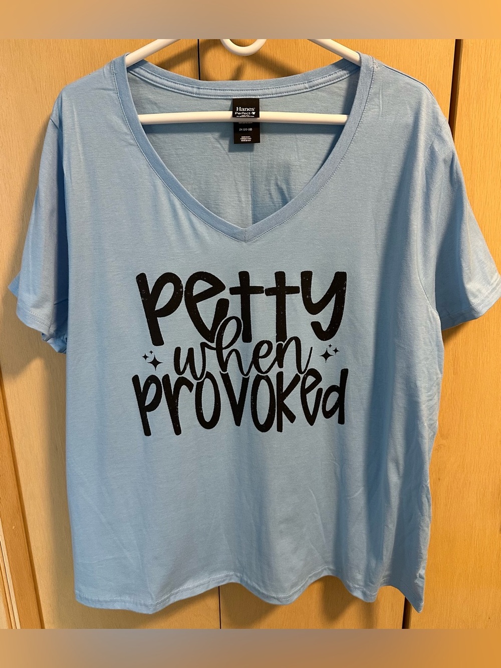 Petty When Provoked V-Neck Graphic Tee - NIP